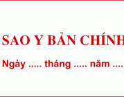 Cách sử dụng dấu sao y bản chính