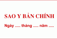 Cách sử dụng dấu sao y bản chính